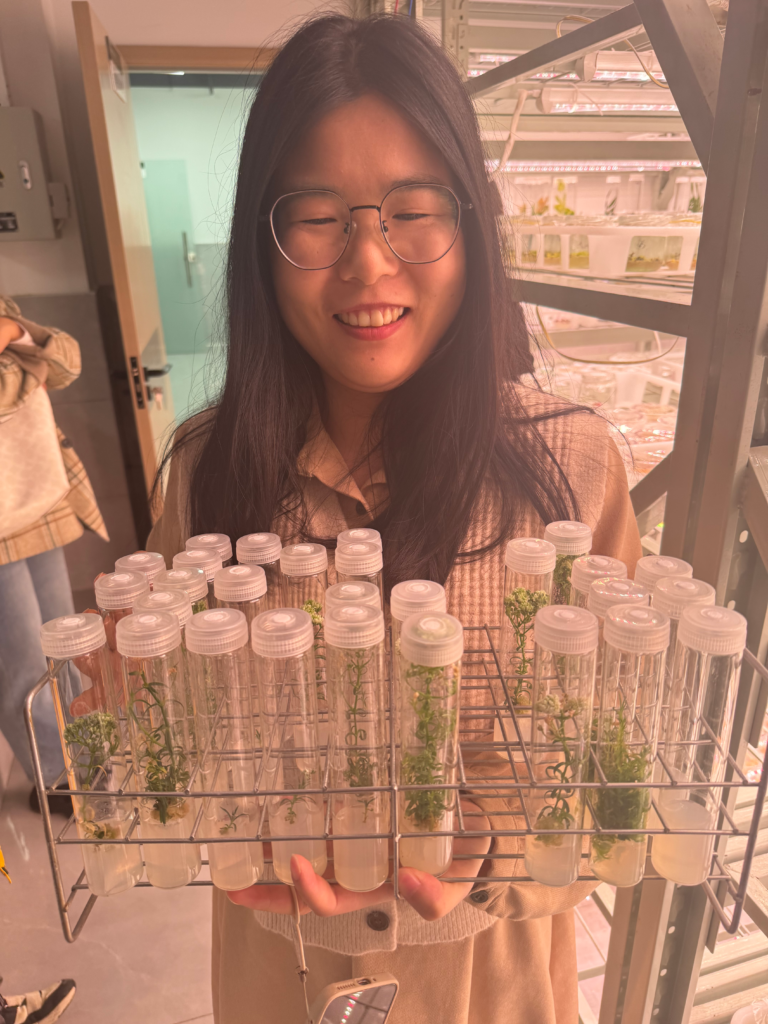 Kunming China - Chunlian Jin showing her in vitro flowering plants