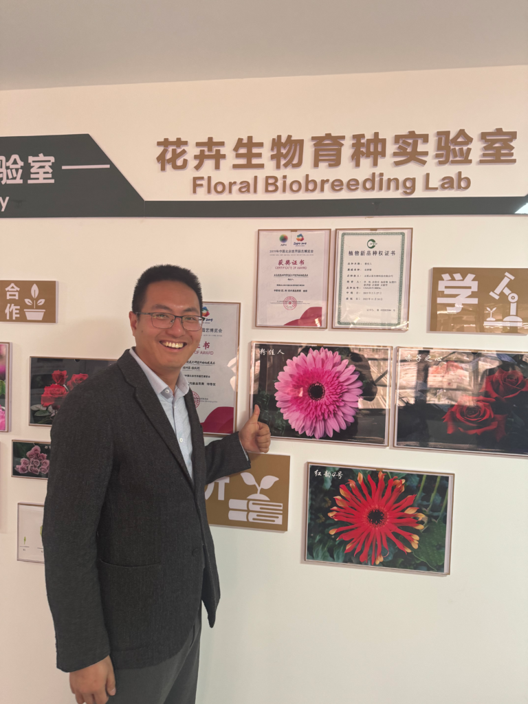 Kunming China - Li Fan showing his registered flower Gerbera, named 'Beautiful Lady'.